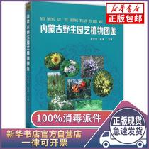 Genuine Inner Mongolia Wild Horticultural Plant Illustrated Cui Shimao Inner Mongolia Peoples Publishing House 9787204132942 Pet Books Xinhua Bookstore Self-operated