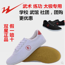 Twin Star Sneakers Martial Arts Shoes Tai Chi Shoes Children Practice Shoes Men And Women Shoes Training Shoes White Men And Women Canvas