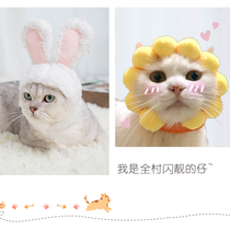 Little dog waterproof protective ring pet cat rabbit ear dog head cover pet headgear convenient bath rabbit hat
