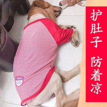 Dog clothes thin border dog pet vest summer Labrador big dog golden hair anti-hair loss