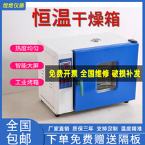 Industrial small oven electric constant temperature blast drying oven laboratory drying box high temperature front and rear opening