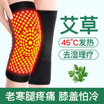 Wormwood knee cover sheath warm old cold leg hot paint joint cold male Lady elderly self-heating autumn and winter