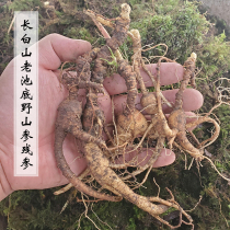 Fresh old pond bottom forest ginseng residual ginseng Changbai Mountain wild ginseng residual branches wild fresh ginseng residual branches 1 kg 20 years old