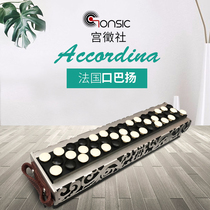 French mouth Bayan retro accordion Accordina European rare antique old musical instrument boutique display collection