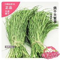 Premium Dried Barley Grass Rabbit Chinchilla Guinea Pig Supplement with Timothy Grass with box 1kg Helda