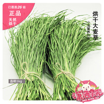 Premium dried barley grass Rabbit Chinchilla Guinea Pig Supplement nutrition with Timothy grass even box 1kg Helda