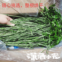 2021 stubble drying wheat grass hay seedling rabbit Chinchow pig grain box 1KG