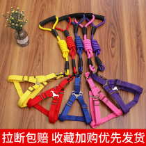 Dog Traction Rope Dog Chain Sub Rope Large Small And Medium Dog Walking Dog Pet Item Ring Kitty Teddy Rope Pet Supplies