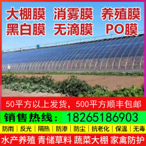 Imported greenhouse film Non-drip film PO film Grouting film Anti-fog film Plastic film Plastic cloth breeding insulation black and white film