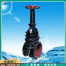 Manual gate valve Ming pole copper core copper rod Z41T-10Q cast iron flange gate valve tap water fire heat heating