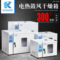 Electric blast drying oven welding rod car lamp oven laboratory high temperature small oven industrial drying box constant temperature