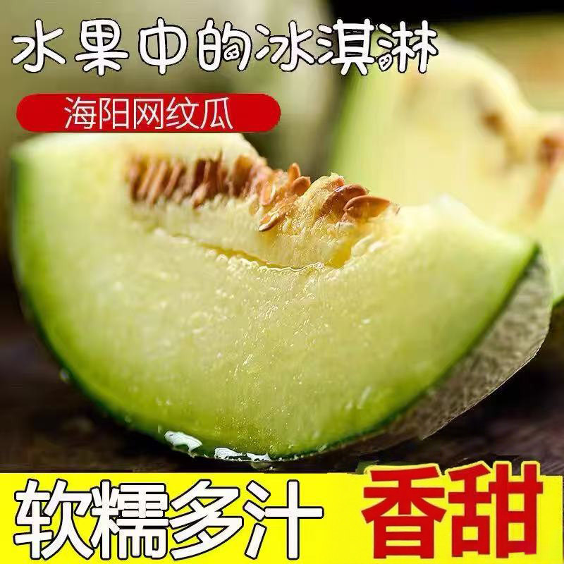25年最新测评|海阳网纹瓜、玫珑蜜瓜、静冈蜜瓜哪款最值得买?当季水果选购全攻略-旅游-淘宝好物网