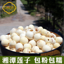Bailian to core dermabrasion dry goods 250g Xiangtan specialty Tongxin white lotus seed three inch Xianglian