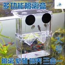 Fry breeding box Acrylic double-layer guppies hatchery incubator isolation box Douyu box juvenile fish box