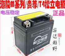 New Hailing off-road vehicle Songli battery MX6 battery M4 dry battery Huayang T4 battery Guizunyue