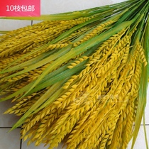 Simulation Rice Valley Fake Rice Wheat Ears Wheat Wheat Dancing Props Flowers 5 Valley Miscellaneous Grain Crop Decorations