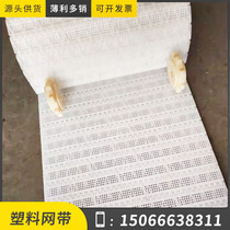 Plastic conveyor mesh belt food cleaning assembly line conveyor belt tableware cleaning conveyor line plastic chain conveyor belt