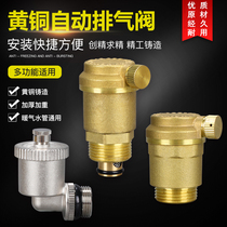 4 points 6 points DN20 brass vertical angle horizontal automatic exhaust valve household heating pipe bleed valve