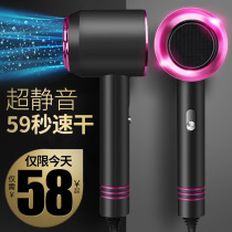 German hair salon electric hair dryer home barber shop dedicated high-power negative ion hair care silent air blower quick drying