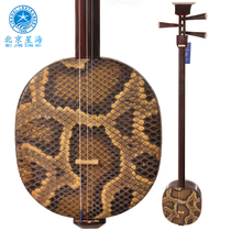 Beijing Xinghai Sanxian Ethnic 8329 Red Sandalwood Big Three String Musical Instrument Red Sandalwood Three String Send Accessories