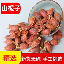 Chinese herbal medicine Gardenia wild new goods mountain Gardenia raw branches brewing tea red gardenia fruit salted yellow gardenia fruit salted yellow Gardenia 500g