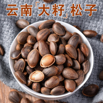 Yunnan pine nuts fell into the water wild specialty large particles 2020 fresh thin shell bulk weight 500g hand peeled nuts