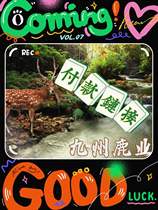 Payment link for the Luye industry in Kyushu