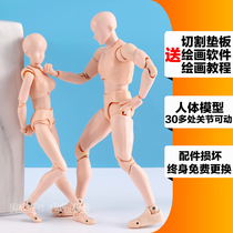 shf Bandai joint movable plain body men and women anime people Manga mannequins Hand-made art painting dolls