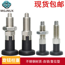 Gunter GN717 stainless steel knob plunger coarse tooth positioning pin reset self-locking spring plug fixed column indexing pin