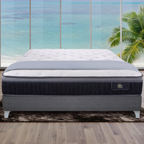  Serta American Shuda Ashig latex mattress Miao Er buckle spring bed Simmons flagship store official