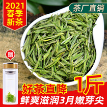 White Tea Anji 2021 New Tea Premium Head Collection Authentic Alpine Green Tea Rare White Tea Spring Tea 500g Bulk