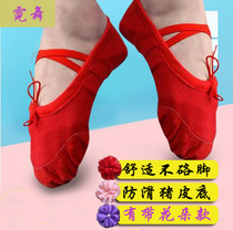 Childrens dance shoes ballet practice shoes with flower cat claw shoes a variety of colors with wild girls Latin shoes women