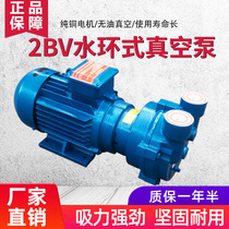 Zibo 2BV water ring vacuum pump Industrial vacuum pump Negative pressure pump high vacuum pumping small explosion-proof
