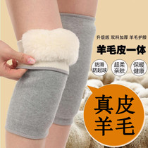  Japanese knee pads to keep warm old and cold legs in autumn and winter women thicken mens cashmere cold-proof elderly special joint sheath