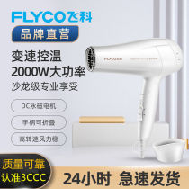 Feike hair dryer household does not hurt silent portable hot and cold wind high power folding dormitory student Blower