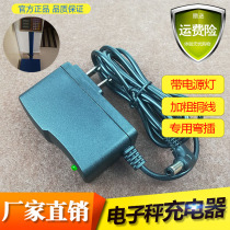 TCS-300 Electronic pricing table scale Power adapter 220V50Hz Wuyi Renhe electronic weighing device charger