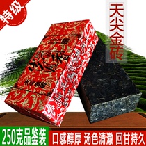 2015 nian tian jian BRICS years Fragrance Golden fu zhuan Hunan Anhua dark tea superior ya tou hei zhuan cha