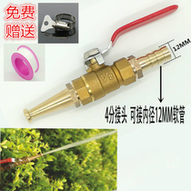 Household car wash water gun head copper water gun nozzle 4 minutes 6 minutes 1 inch water pipe hose straight plug water gun high pressure nozzle head