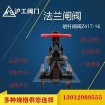 Shanghai and Shanghai Z41T-16 cast iron rising stem flange gate valve DN50 65 80 100 125 150 200