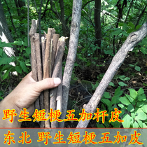 Northeast wild Wujia pedicels acanthopanax anacanthopanax pedicle acanthopanax pedicle acanthopanax stemmed stemmed 500g