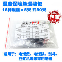 Temperature fuse mixed package 73-240 degrees 10A250V 16 kinds of specifications a total of 80 rice cookers etc