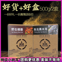 (Shanzhen big gift bag 500g) farmhouse new with wild hazelnut mushroom monkey head mushroom Huangsongdian black fungus dried black fungus