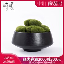 Simulation flower fake flower bonsai Moss flower art green planting living room coffee table new Chinese model house potted tea table ornaments