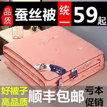 Silk quilt 100% winter quilted by spring and summer cool by core single thickened warm cotton quilted by air conditioning by student dormitories