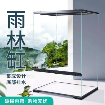 MIUS ecological landscaping rainforest tank tropical plant chameleon lizard super white glass breeding box small medium and large