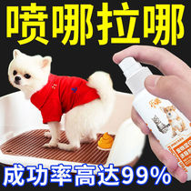 Dog Urine Mat Guided Upper Toilet Fixed Thickened Deodorant Inducing Agent Squatting Pit Trainer Relieving of Targeted Pets