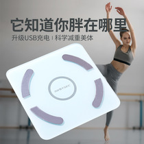 Tiansheng source manufacturer USB charging body fat scale fat weight led Bluetooth app electronic scale household weight scale