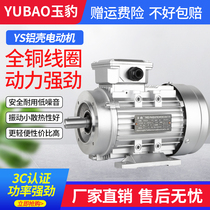 Aluminum shell 380V three-phase motor 0 37 0 55 0 75 1 1 1 5 2 2KW GB flange motor