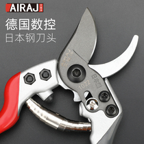 Cutting scissors Japanese steel cutter head scissors tree tree flower scissors garden gardening pruning shears artifact tools