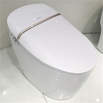 Wrigley intelligent toilet AKB1305